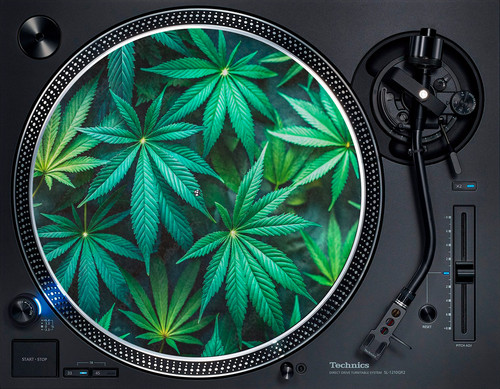 Marijuana weed plant leafs - weed,